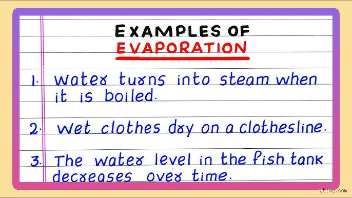 Beyond the Puddle: Decoding 5 Examples of Evaporation in Everyday Life and the Hidden Physics Driving Them