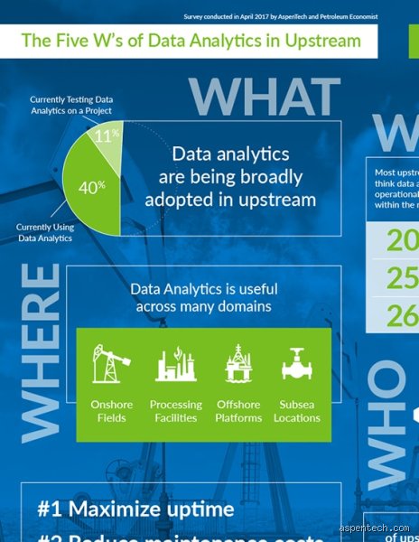Beyond the Metrics: Decoding the 5 Ws of Data Analysis for Actual Business Survival