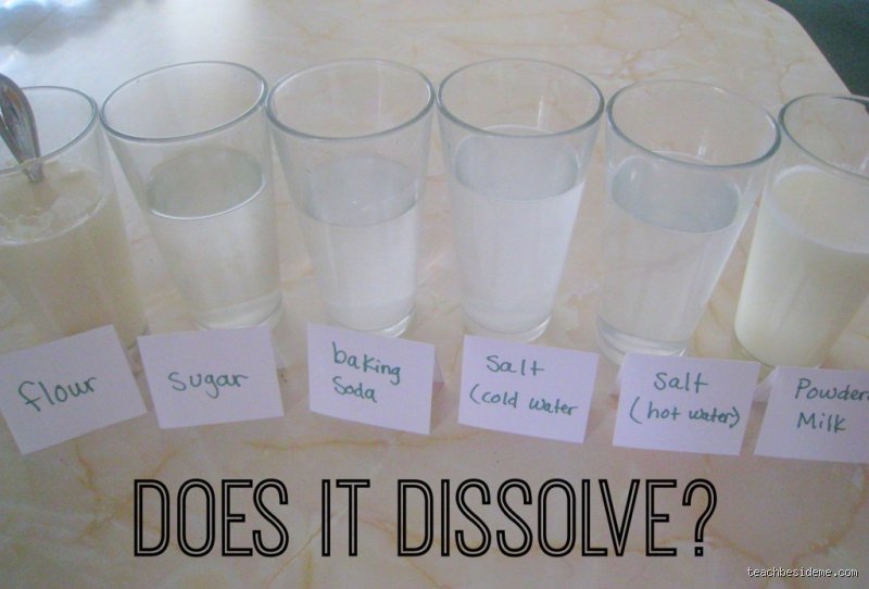 The Dissolution Race: What Dissolves in Water Faster and Why Molecular Speed Matters