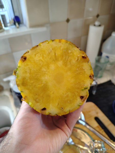 The Bitter Sting of Sweetness: Why Can’t I Eat Pineapple Anymore and What Changed Inside Your Gut?