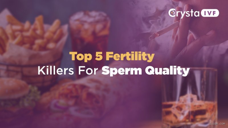 What Is the Biggest Killer of Sperm? The Silent Heat Threat Sabotaging Male Fertility