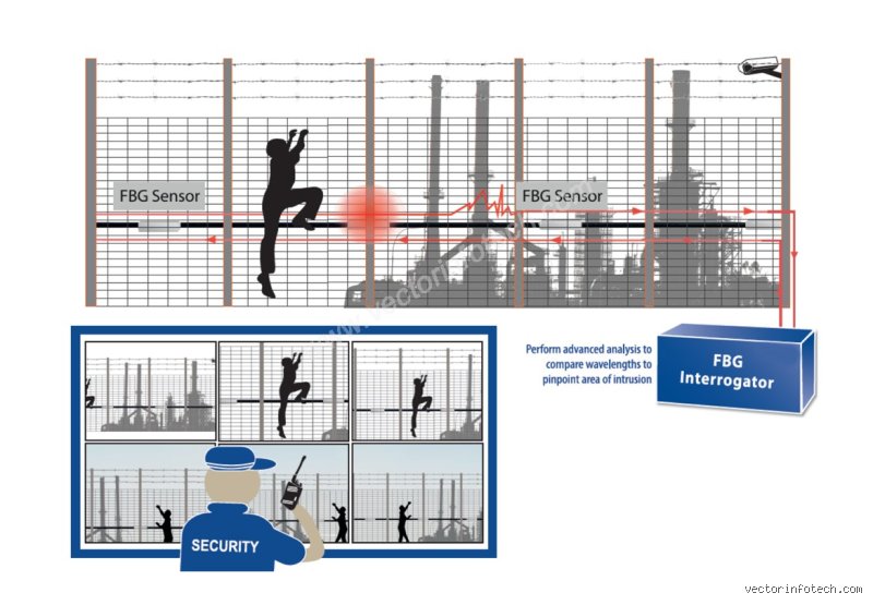 What Is the Full Form of PIDS in Aviation Security and Why It Matters Today