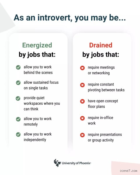 What are some easy jobs for introverts?