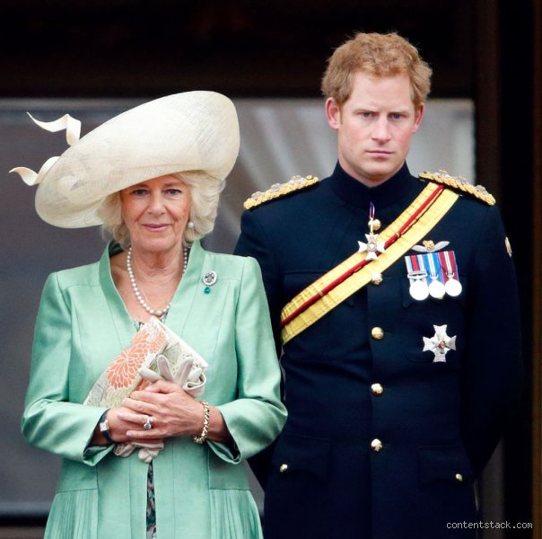 The Wicked Stepmother Unleashed: What Did Prince Harry Call Camilla in His Bombshell Memoir Spare?