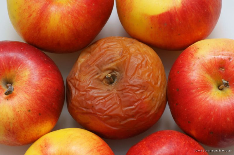 The science of spoilage: What food rots quickly and why?
