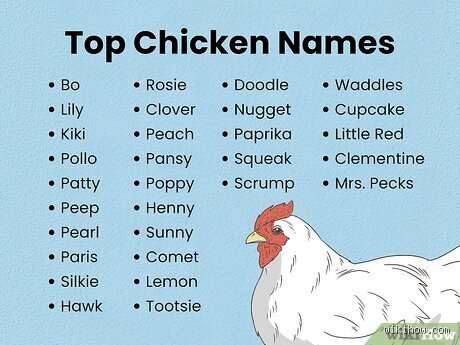 What is a cute name for a chick?