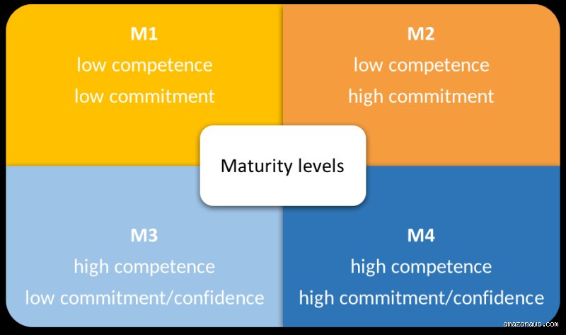 Decoding the Matrix: What is M1 M2 M3 M4 Leadership and Why Most Managers Mess It Up