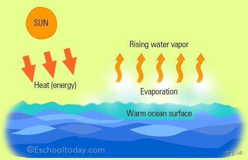 What are the stages of evaporation?