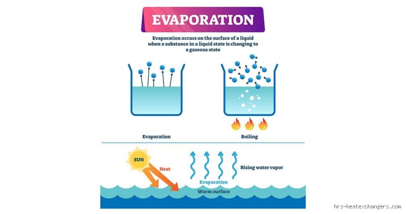 What can evaporate water?