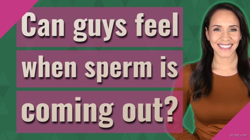 The Sensory Reality of Male Orgasm: Can Guys Feel When Sperm Is Coming Out During Ejaculation?