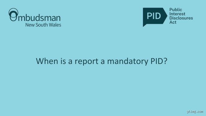 Decoding the Architecture of Control: What is a Mandatory PID and Why It Changes Everything