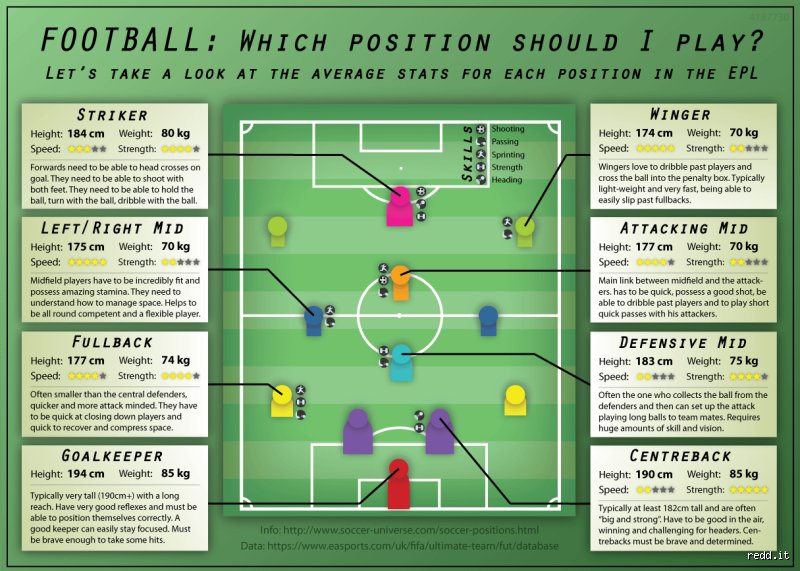 Demystifying Football Physics: Which Position Actually Takes the Least Hits on the Gridlock