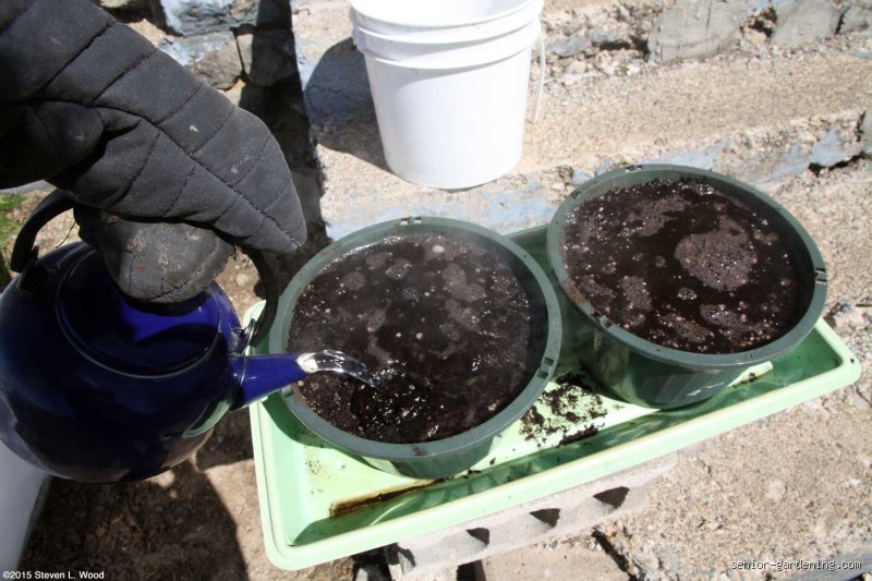 Can I pour boiling water over soil to sterilize?