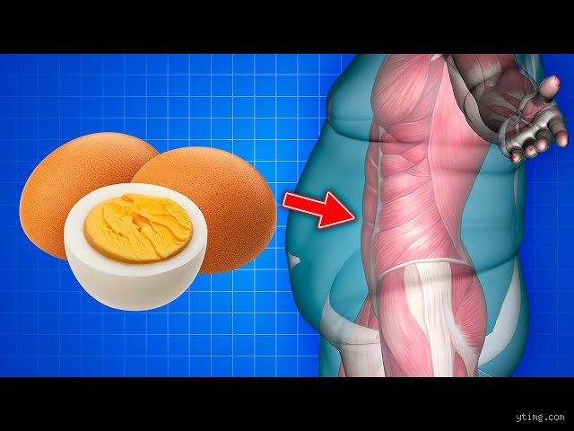 Cracking the Cholesterol Myth: Is it Fine to Have Three Eggs a Day for Your Daily Nutrition?