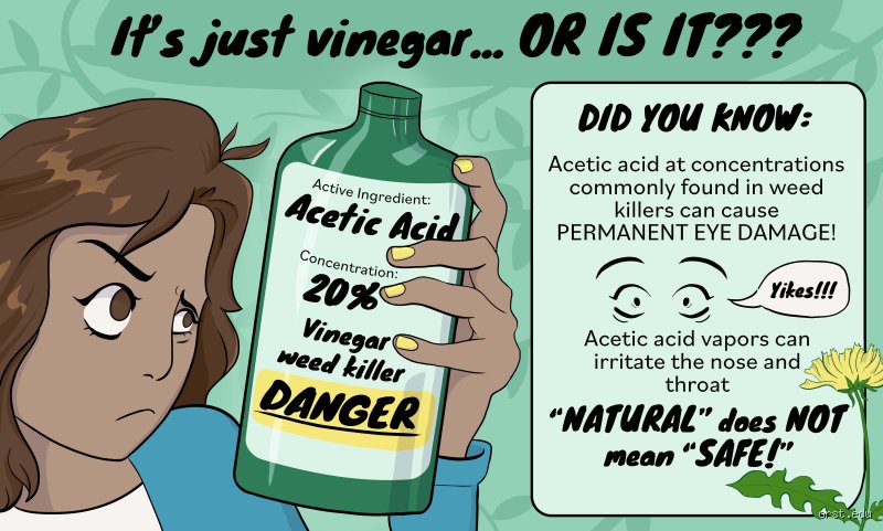 Is Vinegar Bad for You? The Liquid Gold in Your Pantry Might Have a Hidden Dark Side
