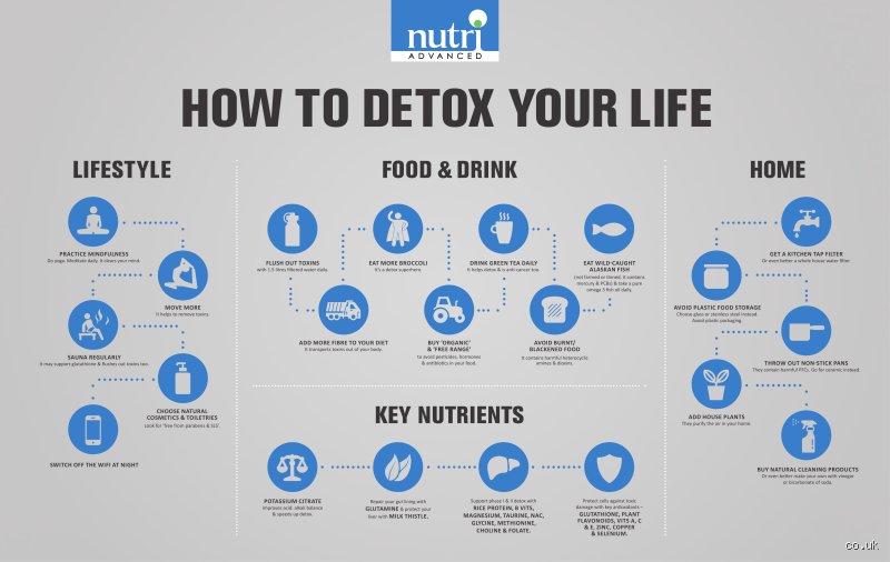 What Is the Fastest Way to Get Toxins Out of Your Body? The Hard Truth and the Biological Realities