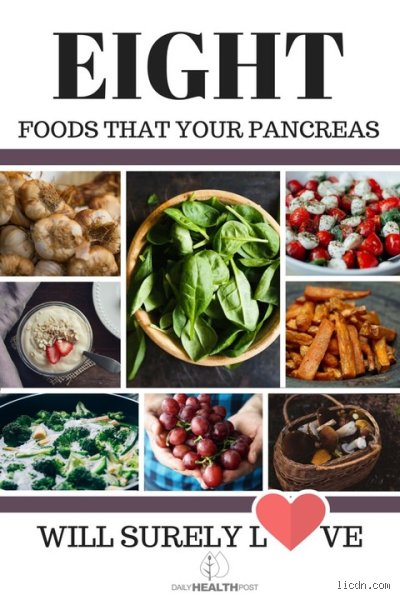 Understanding Pancreatitis and Nutritional Management