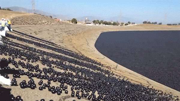 Do Shade Balls Reduce Evaporation? The Deep, Dark Truth Behind the Floating Black Spheres