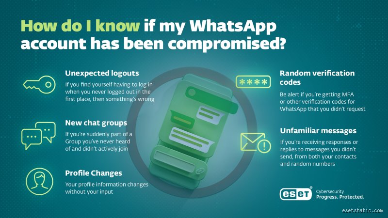 Does WhatsApp spy on you? The uncomfortable truth behind the microphone scares and metadata tracking