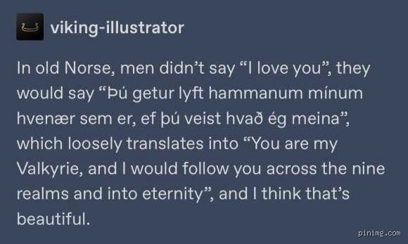 How does a Viking say "I love you"? Unearthing the raw, unspoken romance of the Old Norse world