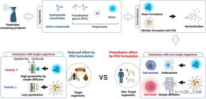 How Toxic Is Polyethylene Glycol to Humans? Separating Laxative Science From Internet Panic