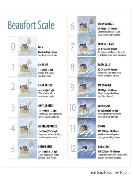 Is 20 to 30 km Wind Strong? The Surprising Truth About Moderate Breezes and Real-World Chaos