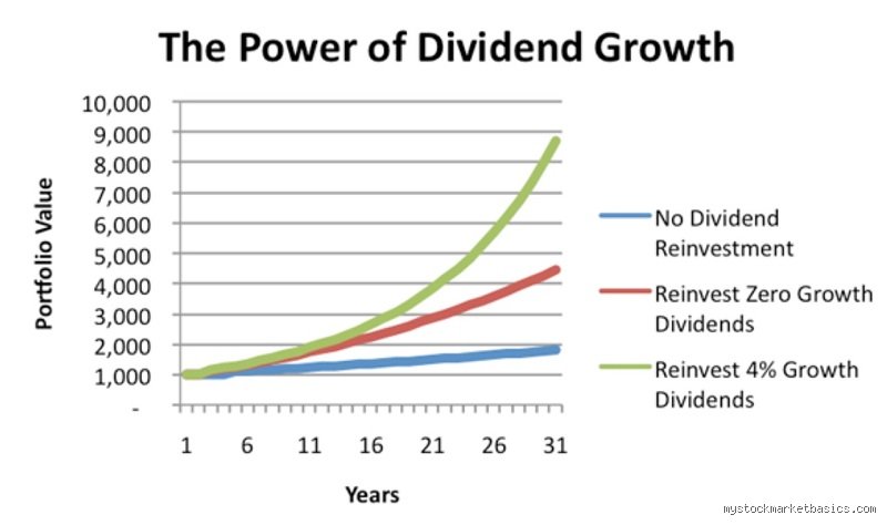 To Cash Out or Compound? Why the Choice to Reinvest Dividends or Take Them Defines Your Wealth