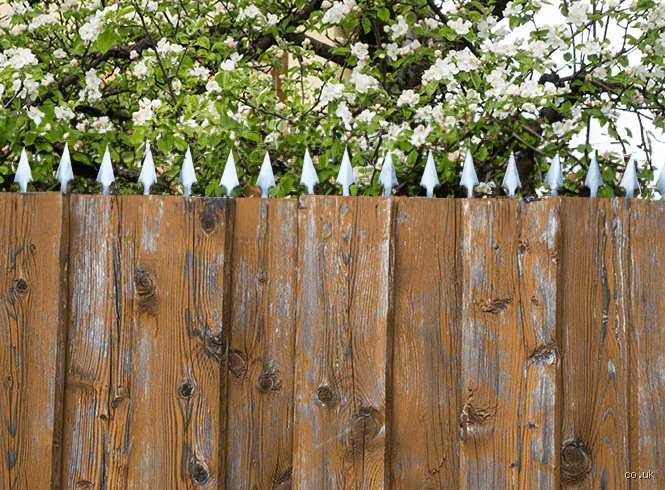 Is it legal to put spikes on top of my fence to protect your home?