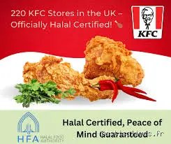 Is KFC Halal? The Global Reality Behind the Colonel’s Secret Fried Chicken Coating