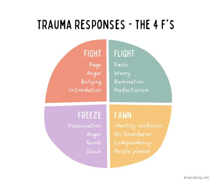 Navigating the Chaos: What Are the 4 Fs of ADHD and How Do They Trigger Chronic Neurological Overwhelm?