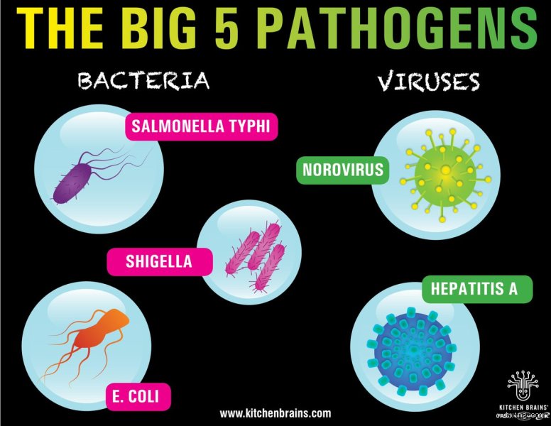 Beyond the Microscope: What Are the Big 5 Bacteria Threatening Global Health Today?