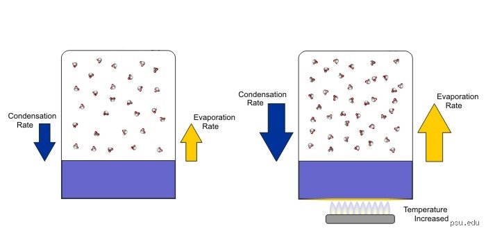The Hidden Mechanics of Drying Out: What Determines Evaporation Rate When Liquids Vanish Into Thin Air