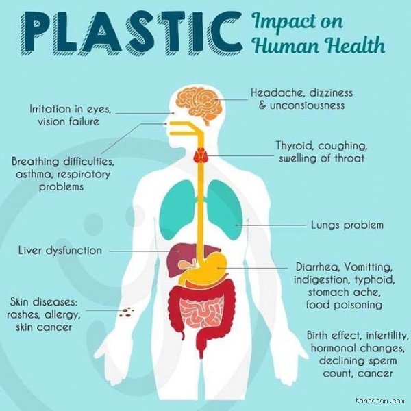 What diseases can plastic pollution cause?