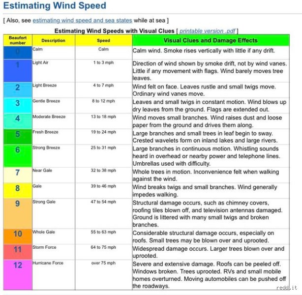 Whispering Leaves and Fluttering Flags: What Do 7 MPH Winds Feel Like in Real Life?