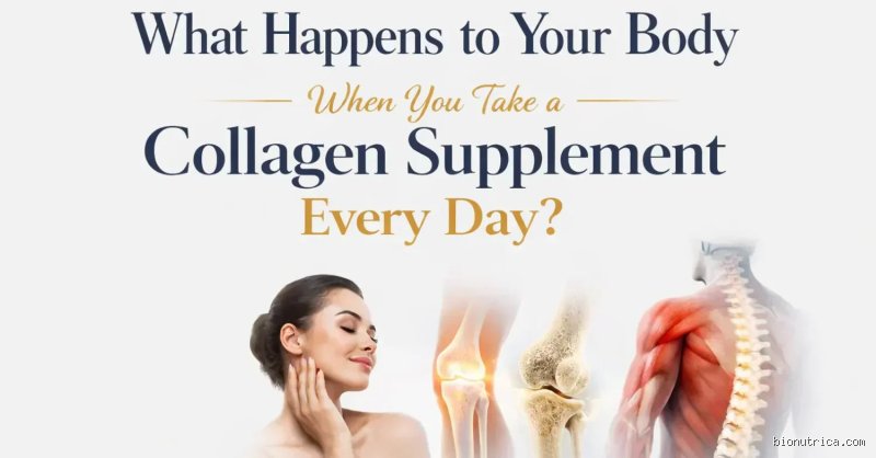 What happens to your body when you take collagen supplements every day?