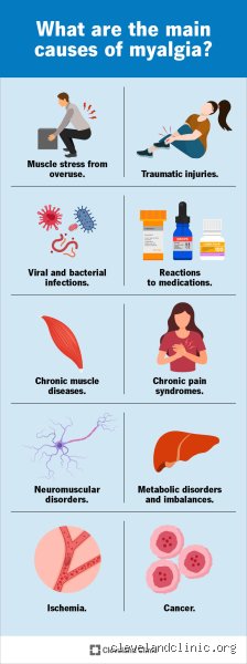 Beyond the Ouch: What Happens When Your Body Is in Too Much Pain and the Biological System Redlines