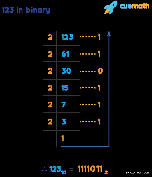 Decoding the Matrix: What is 123 in Binary and Why Computing Counts Differently