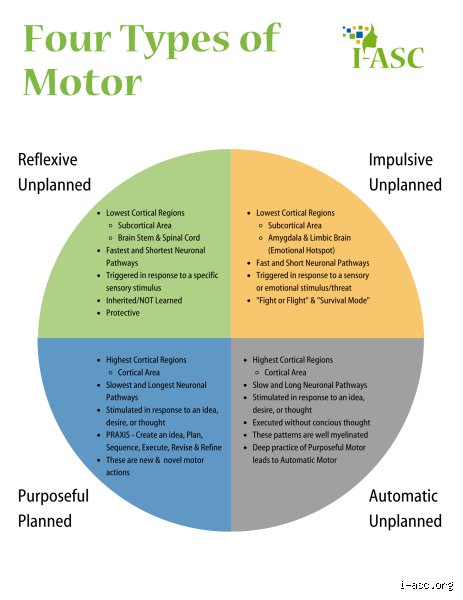 Stuck in Replay: Decoding the Neurological Reality of Looping in Autism and Why Conventional Therapy Fails