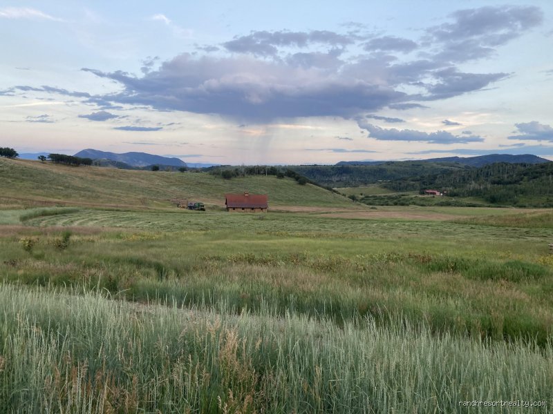 The Unintended Frontier: Decoding the 35 Acre Rule in Colorado and Its Hidden Grip on Rural Land