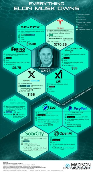 The Financial Catalyst: What Stocks Made Elon Musk Rich and Rewrote Wall Street Rules