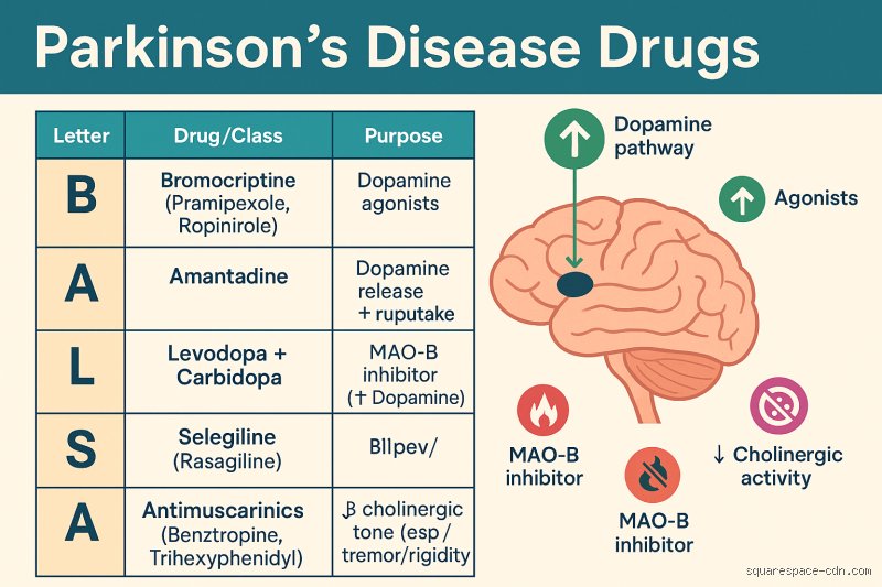 The Dangerous Prescriptions: Which Kind of Drug is Forbidden to Use in Parkinson's Disease?