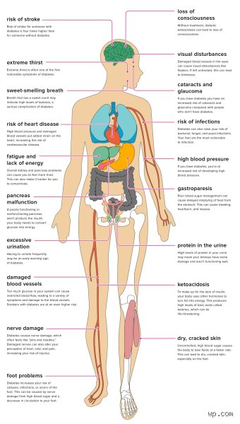 The Silent Fire Within: Which Organ Does Diabetes Destroy First When Blood Sugar Rages?