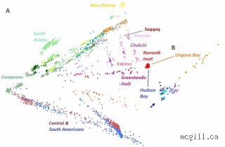 Unraveling the Frozen Genome: Who Is Inuit Genetically Closest To in the Deep History of Human Migration?