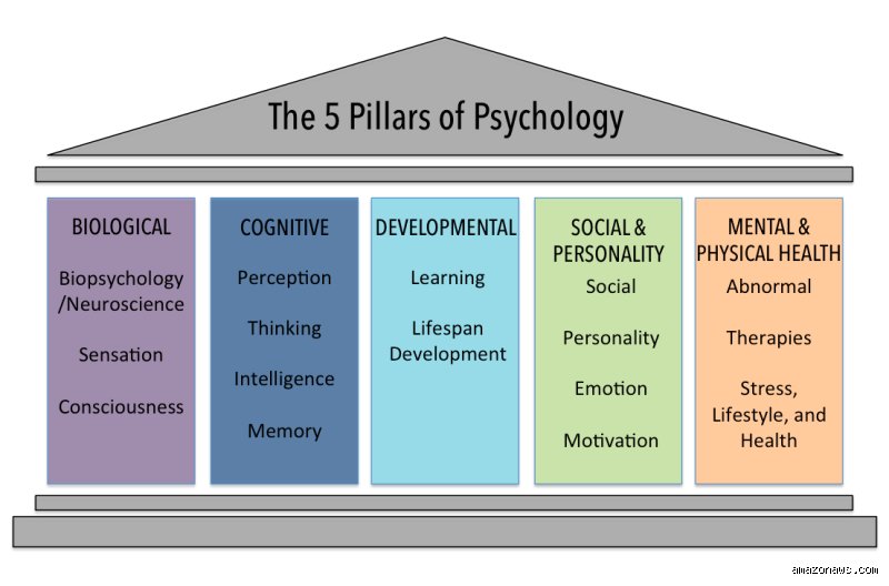 Decoding the Mind: What are the 5 Main Concepts of Psychology and How Do They Control Us?