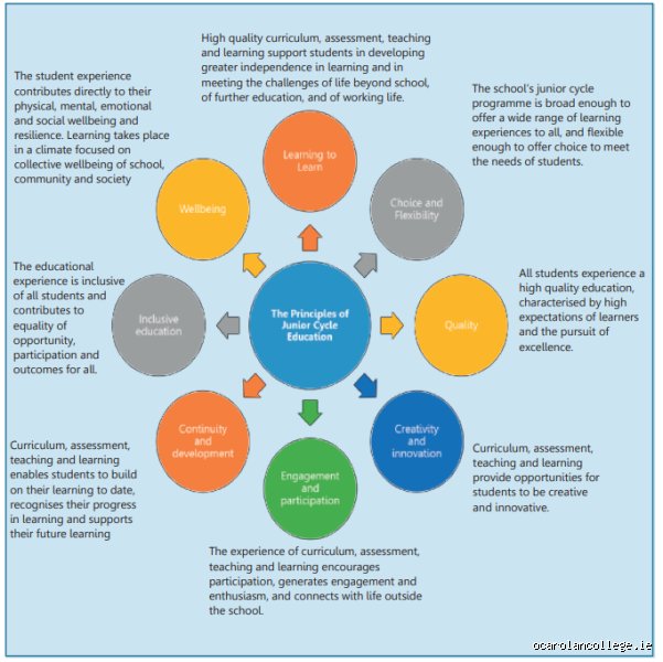 Decoding Educational Design: What Are the 8 Principles of Assessment That Actually Matter?