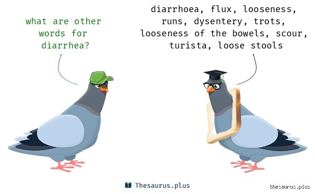 Navigating Social Etiquette: What Is a Polite Term for Diarrhea in Modern Conversation?