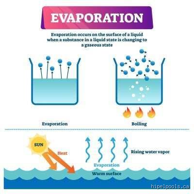How Long Will Water Take to Evaporate? The Hidden Physics Behind the Disappearing Act