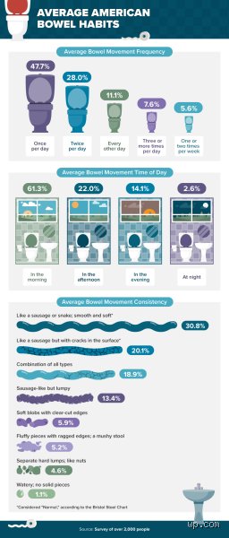 The Great Bathroom Count: How Many Poops a Day Is Considered Diarrhea and Why the Number Fails You