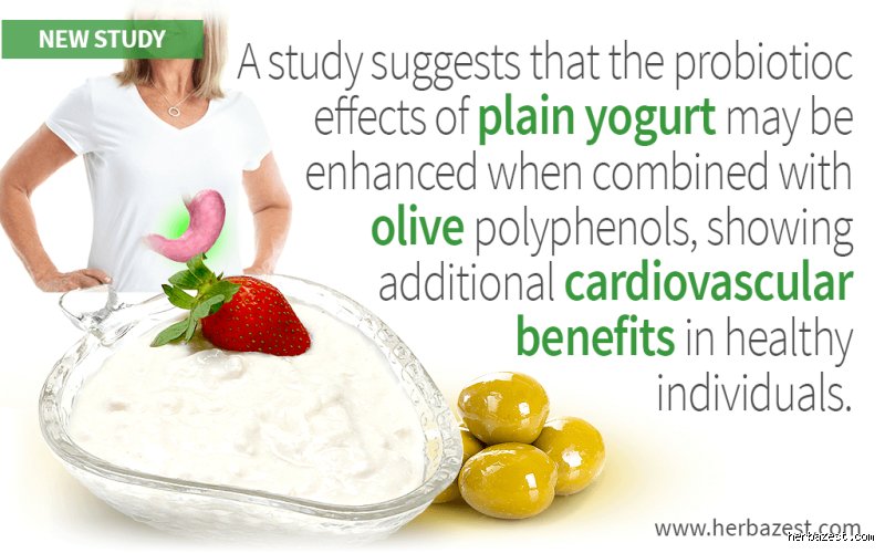Is Greek Yogurt Better for Cholesterol? (Part 1: The Nutritional Science and Lipid Profiles)