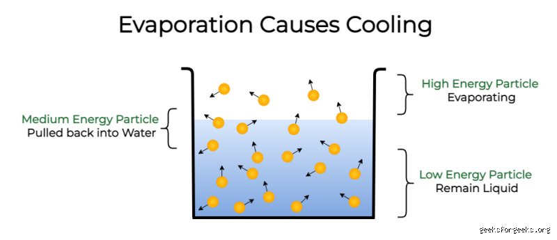 The Unseen Thermodynamics of Chill: What Causes Evaporative Cooling and Why It Matters for Our Scorching Future